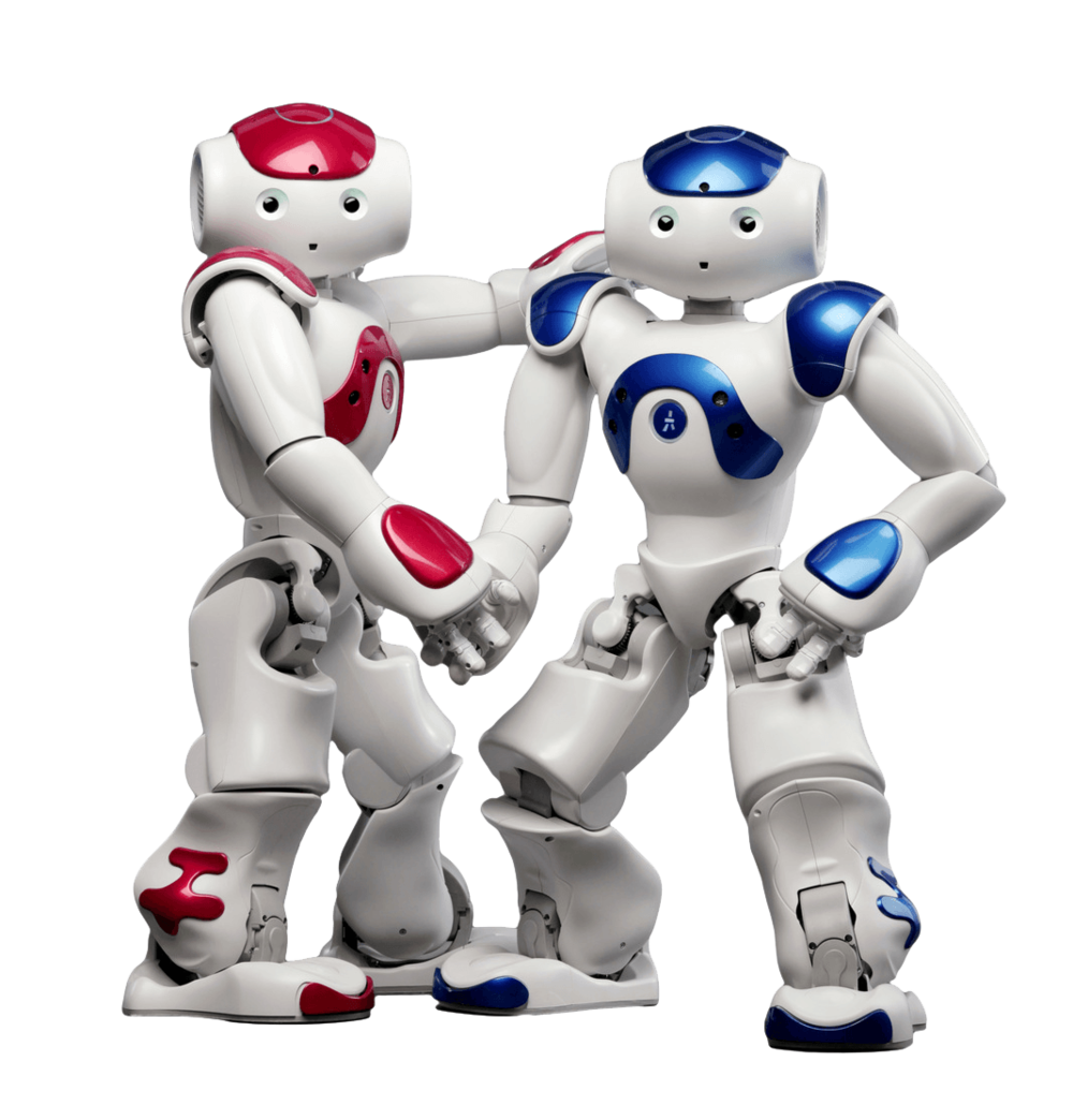 Nao Humanoid Robot